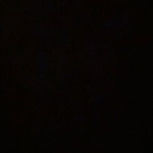 Meet your Posher, Leila